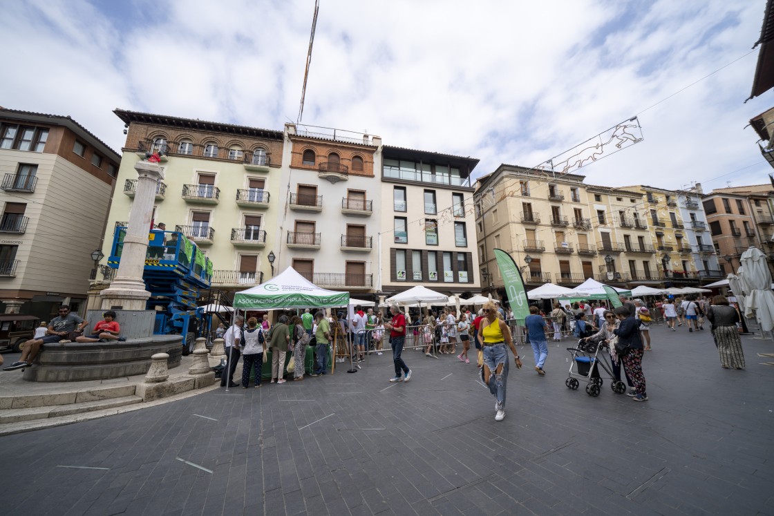 773_torico-teruel46.jpg