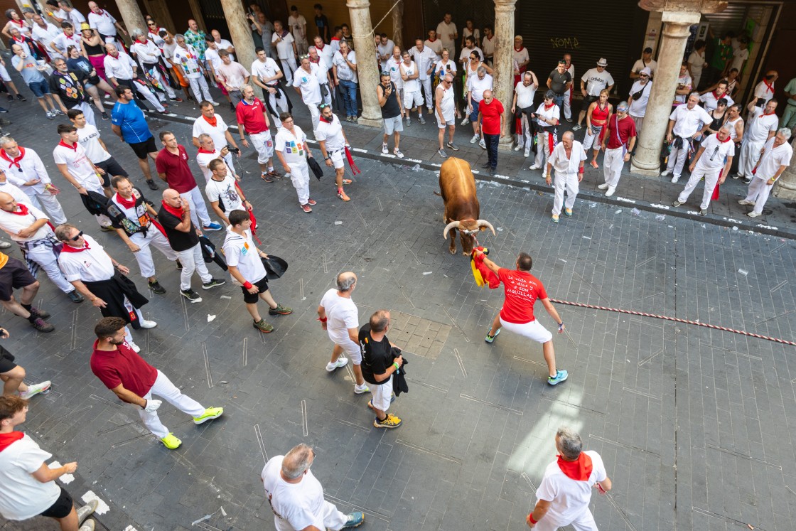 782_img-8620.jpg