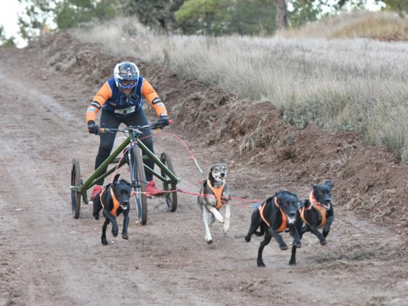 El I Mushing Mudéjar, disputado en Valdecebro, fue la segunda prueba puntuable de la Copa de España.  Isaac Ferrera