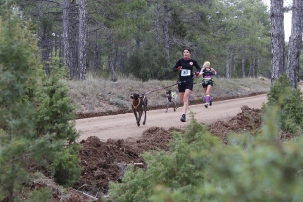 El I Mushing Mudéjar, disputado en Valdecebro, fue la segunda prueba puntuable de la Copa de España