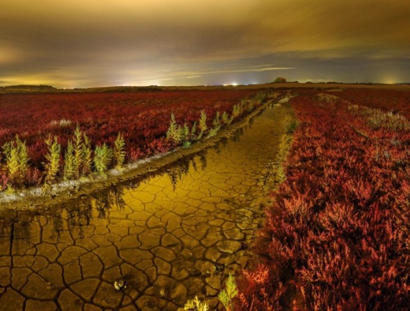 ‘El río de Oro’, obra de Tomás Plaza Serrano, obtuvo otro de los accésit del concurso. T. P. S.