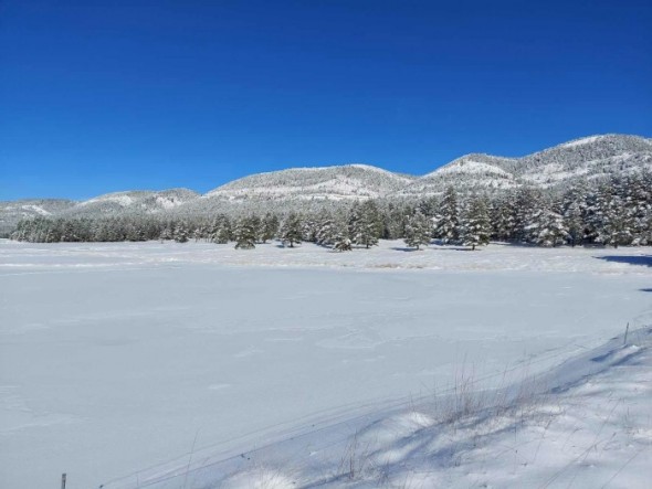 La balsa del paraje de Las Dehesas de Fortanete, helada y cubierta por un manto de nieve. Abel Daudén