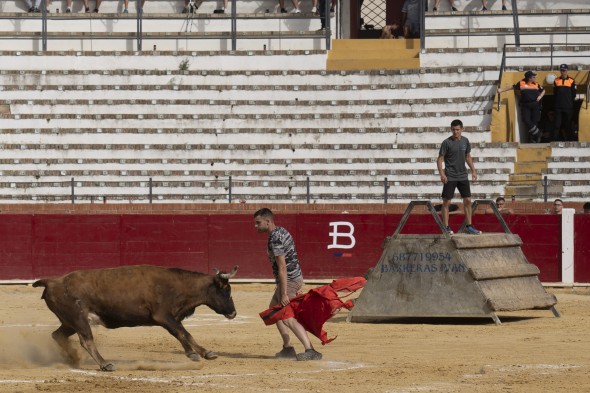 385_vacas12.jpg