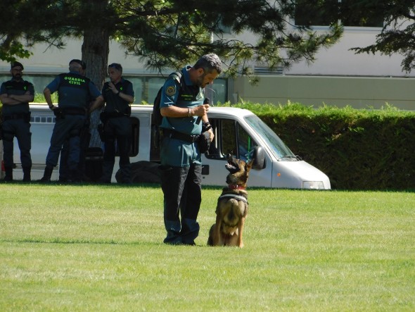 Un perro de la Guardia Civil también participó en la exhibición