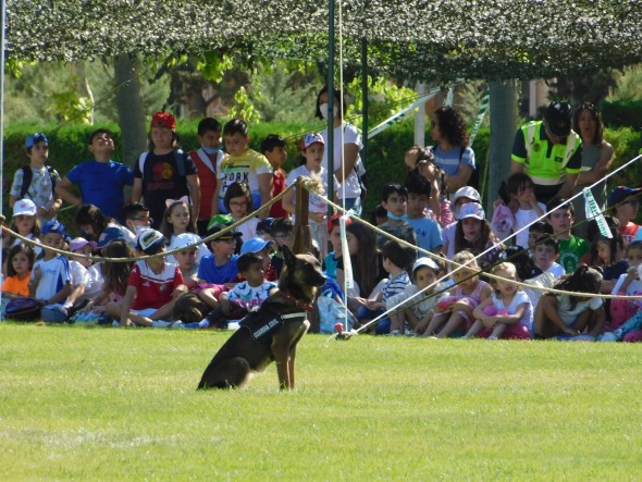 El perro, frente a un montón de chavales y chavalas