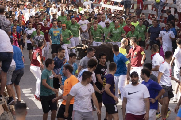 El toro ensogado, rodeado de gente