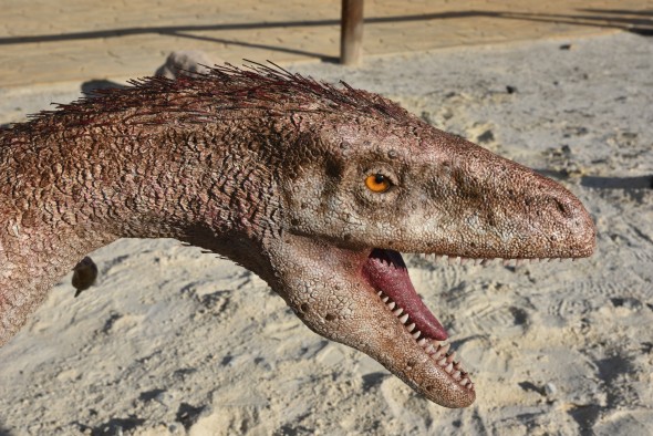 467_foto-cabeza-dromeosaurido-tierra-magna-dinopolis.jpg