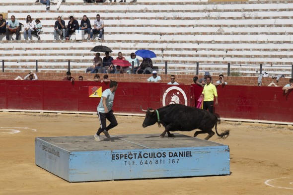 503_toros03.jpg