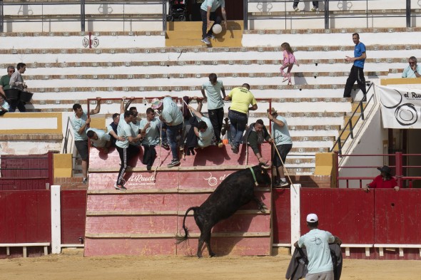 503_toros13.jpg