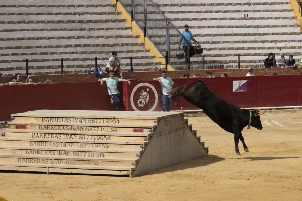 503_toros15.jpg