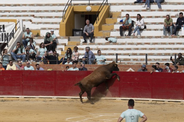 503_toros16.jpg