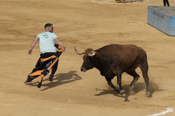 503_toros23.jpg