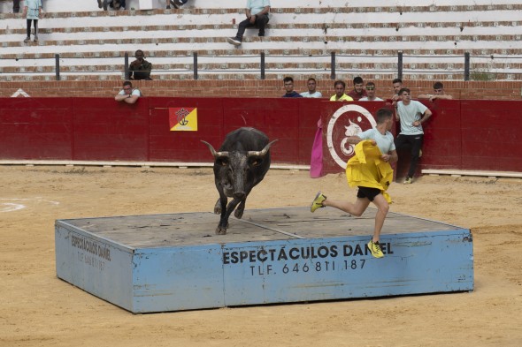 503_toros24.jpg