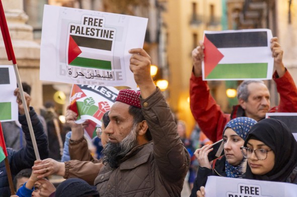 562_manifa-palestina29.jpg