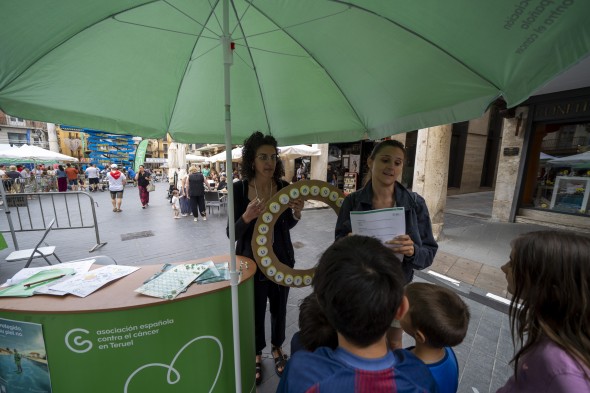 773_torico-teruel50.jpg