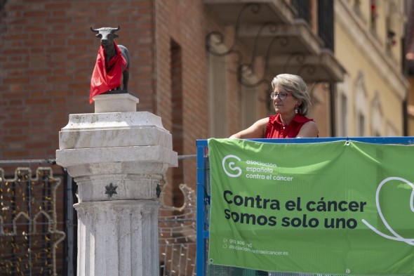 773_torico-teruel55.jpg