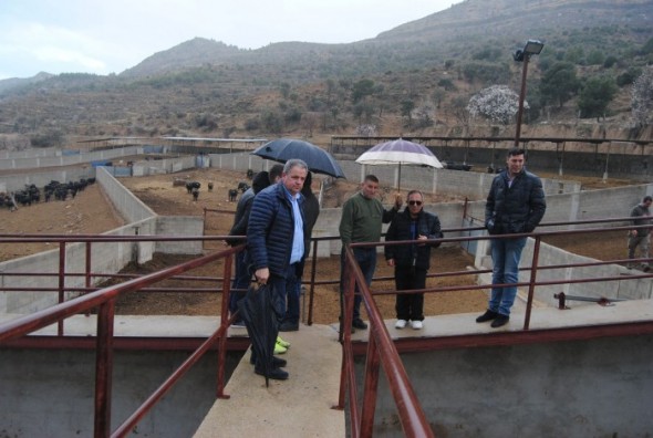 Miembros del Ayuntamiento y la Soga y la Baga, con los toros al fondo