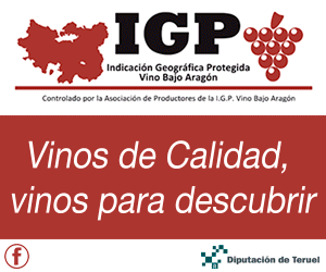 595_300x250-igp-vinos-de-la-tierra.gif